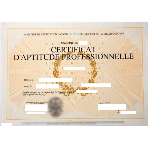 Certificado de aptitud profesional